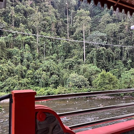 Ridho'S Homestay & Jungle Trekking Букіт-Лаванґ Екстер'єр фото