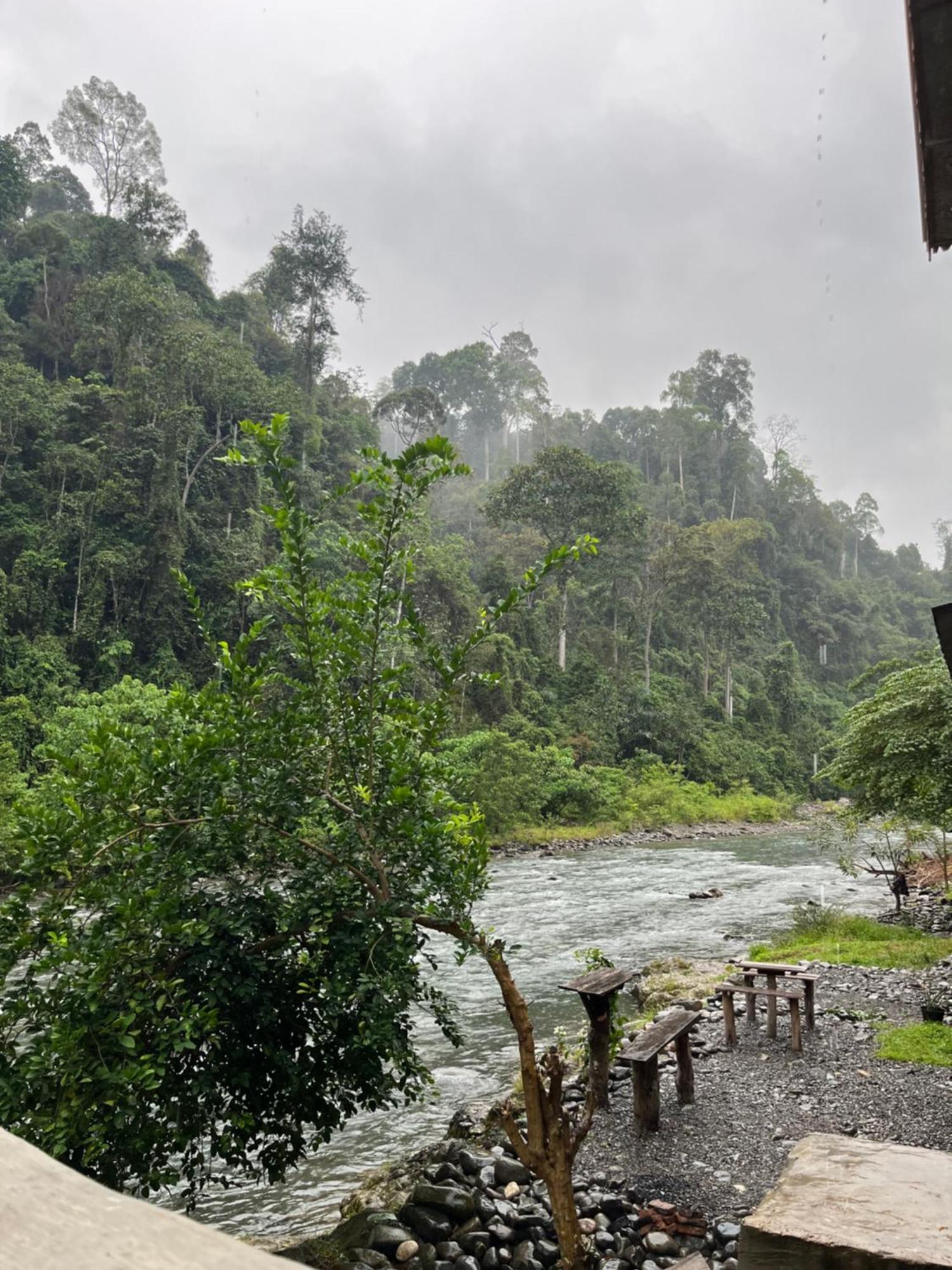 Ridho'S Homestay & Jungle Trekking Букіт-Лаванґ Екстер'єр фото